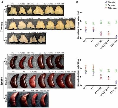 CD8 T-cell Recruitment Into the Central Nervous System of Cuprizone-Fed Mice: Relevance to Modeling the Etiology of Multiple Sclerosis